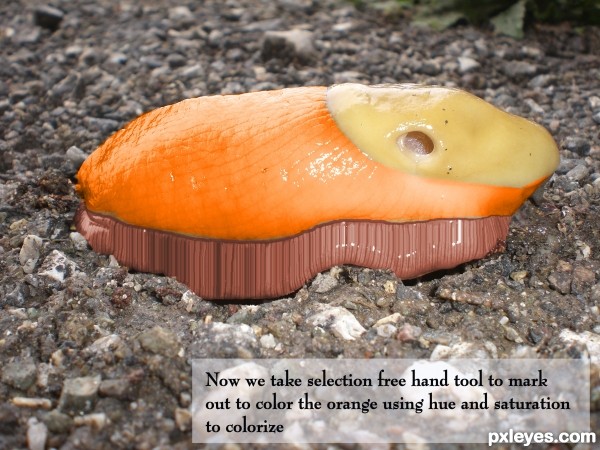 Creation of The Clog: Step 3